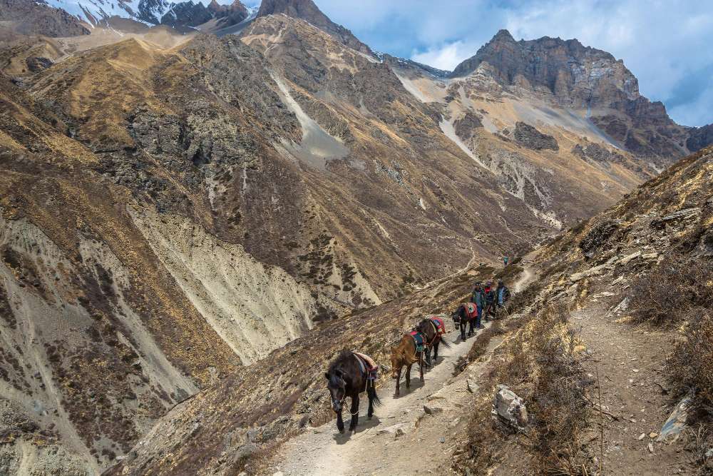 Trekking Routes in Nepal